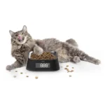 Pawbby Smart Pet Bowl with Weighing Function