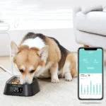 Pawbby Smart Pet Bowl with Weighing Function