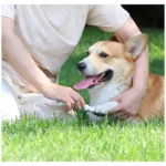 Pawbby Pet Nail Grinder