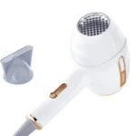 Enchen Air Plus Hair Dryer Premium Version