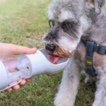 Xiaomi 4 in 1 Portable Plastic Dog Water Bottle Outdoor Integrated