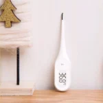Medical Electronic Thermometer PT1
