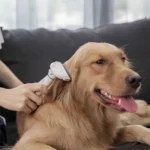 Pawbby De-Shedding Brush MG-PCO001