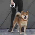 Moestar UFO Retractable Leash 2 Lite Orange