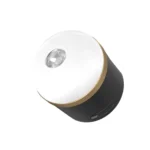 EcoFlow Camping Light