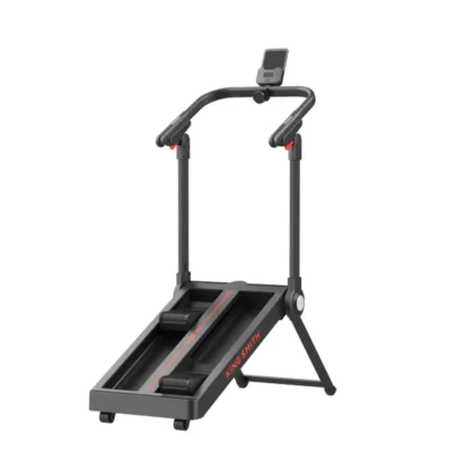 KingSmith WalkingPad Stair Stepper